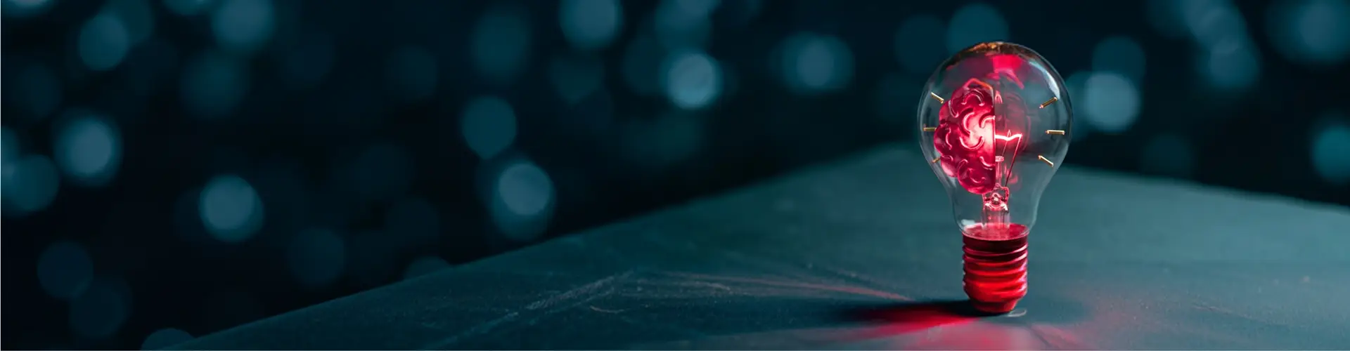 banner-blog1